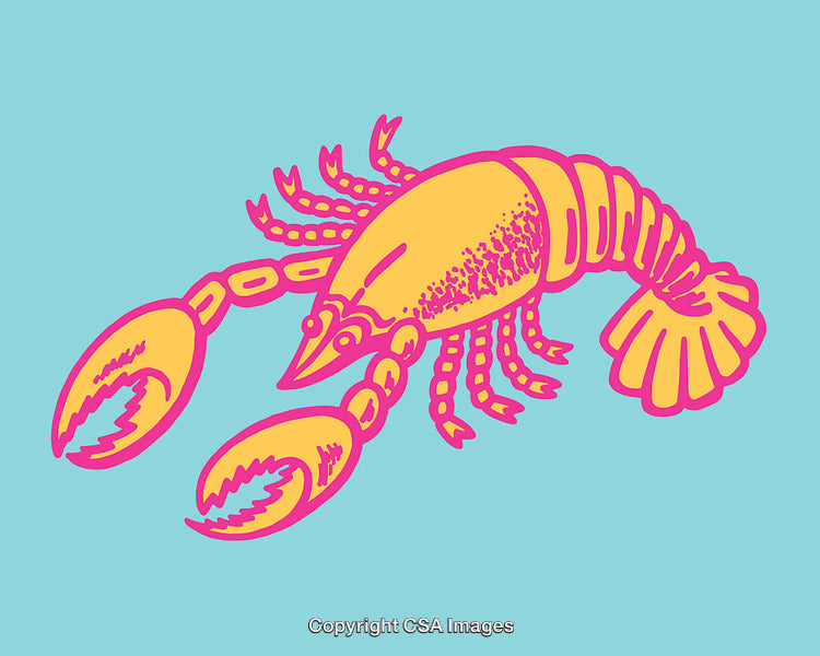 Colorful Line Art Illustration of a Lobster with Vibrant Colors