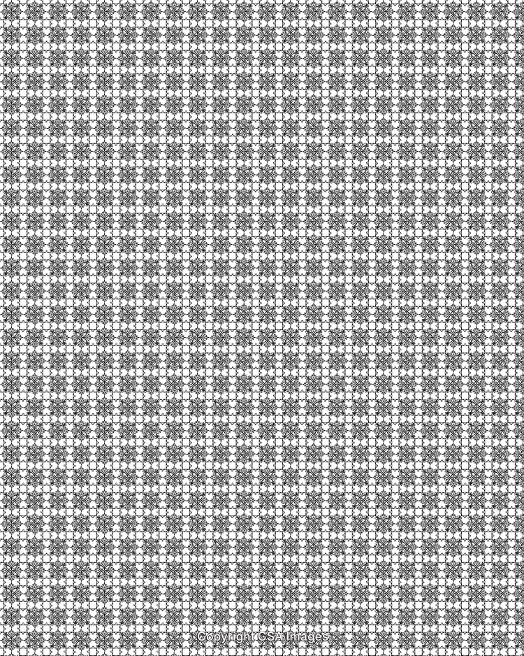 Black and White Pattern with Symmetrical Abstract Geometrical Design