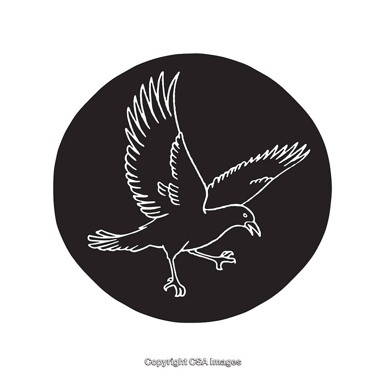 Black and White Line Art Illustration of a Flying Bird in Circle