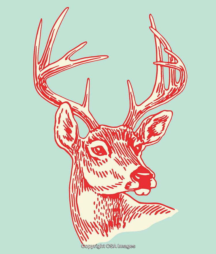 Intricate Red Line Art Illustration of a Deer Head With Antlers