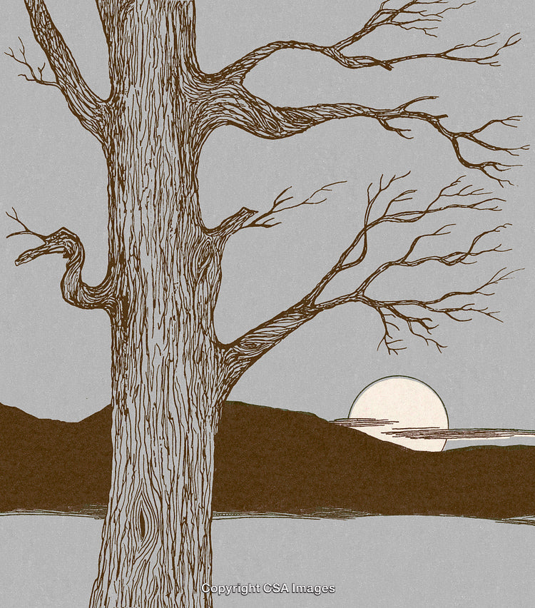 Illustrated Leafless Tree in Front of a Sunset Over Rolling Hills
