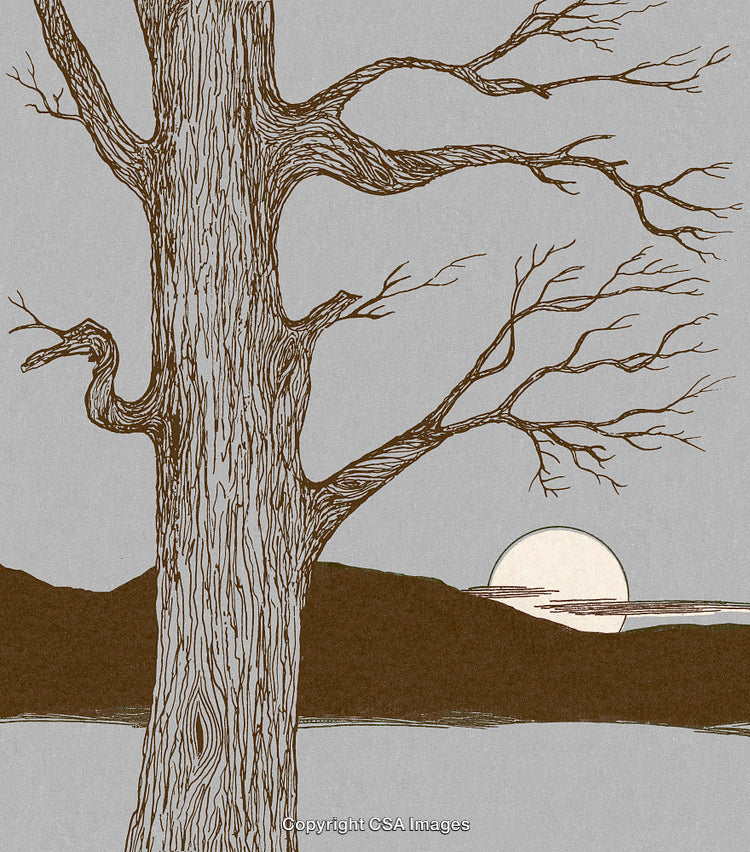 Illustrated Leafless Tree in Front of a Sunset Over Rolling Hills