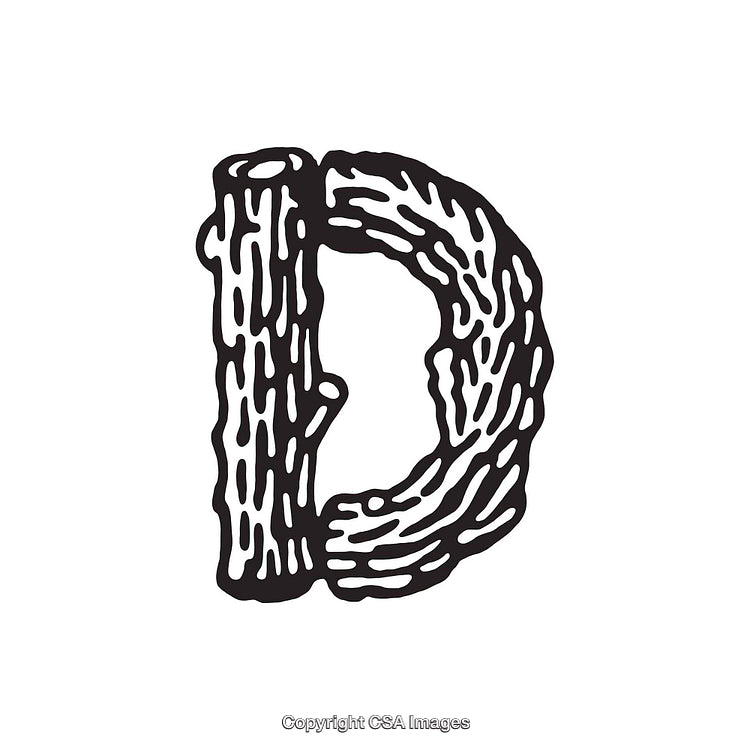 Creative Illustration of the Letter D Styled as Wood Carving