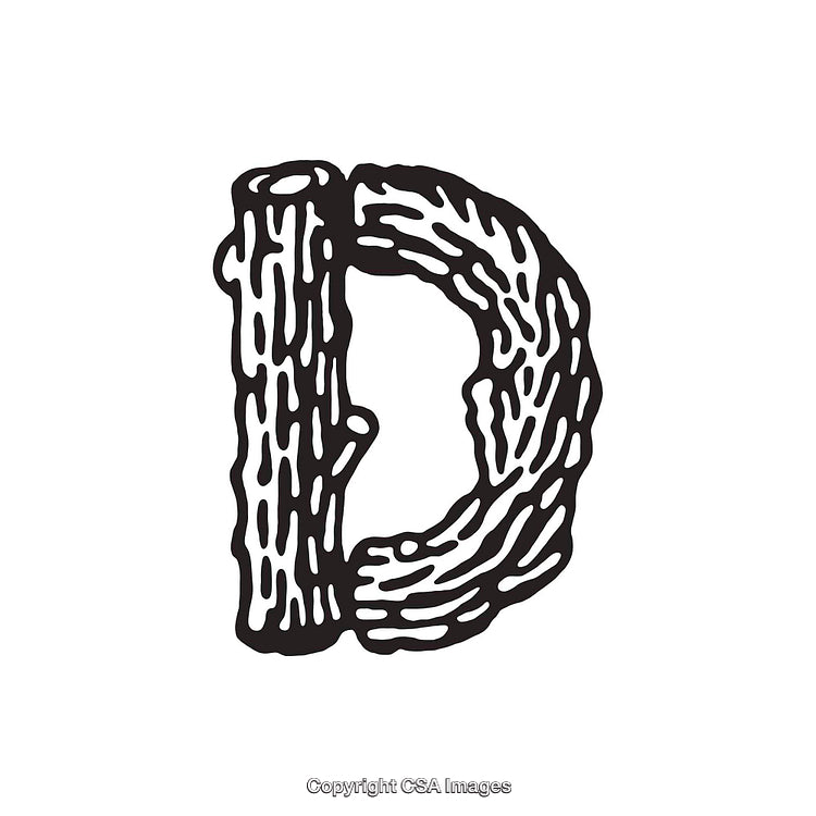 Creative Illustration of the Letter D Styled as Wood Carving
