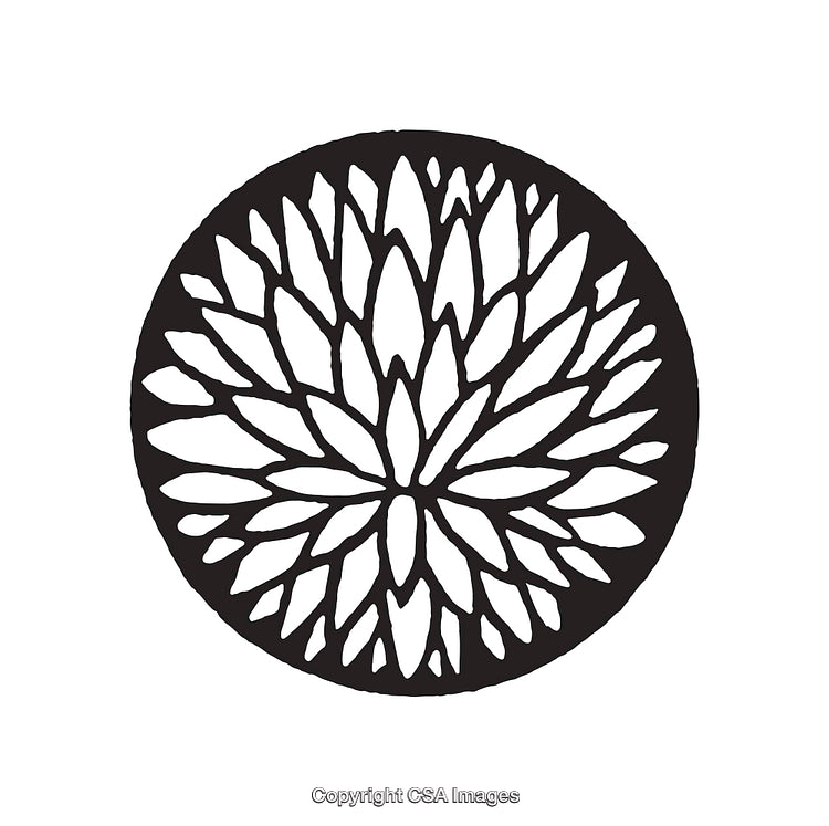 Circular Black and White Line Art with Petal-Like Design