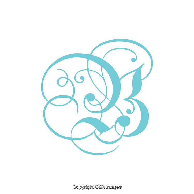 Elegant Blue Decorative Letter B Calligraphic Design