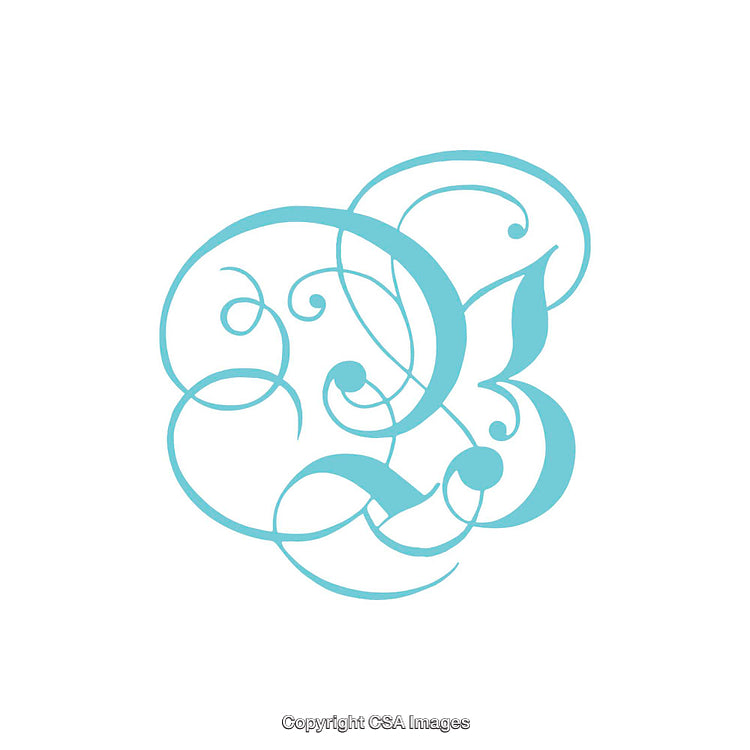 Elegant Blue Decorative Letter B Calligraphic Design