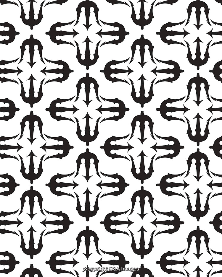 Abstract Black and White Graphic Pattern with Symmetrical Decorative Shapes
