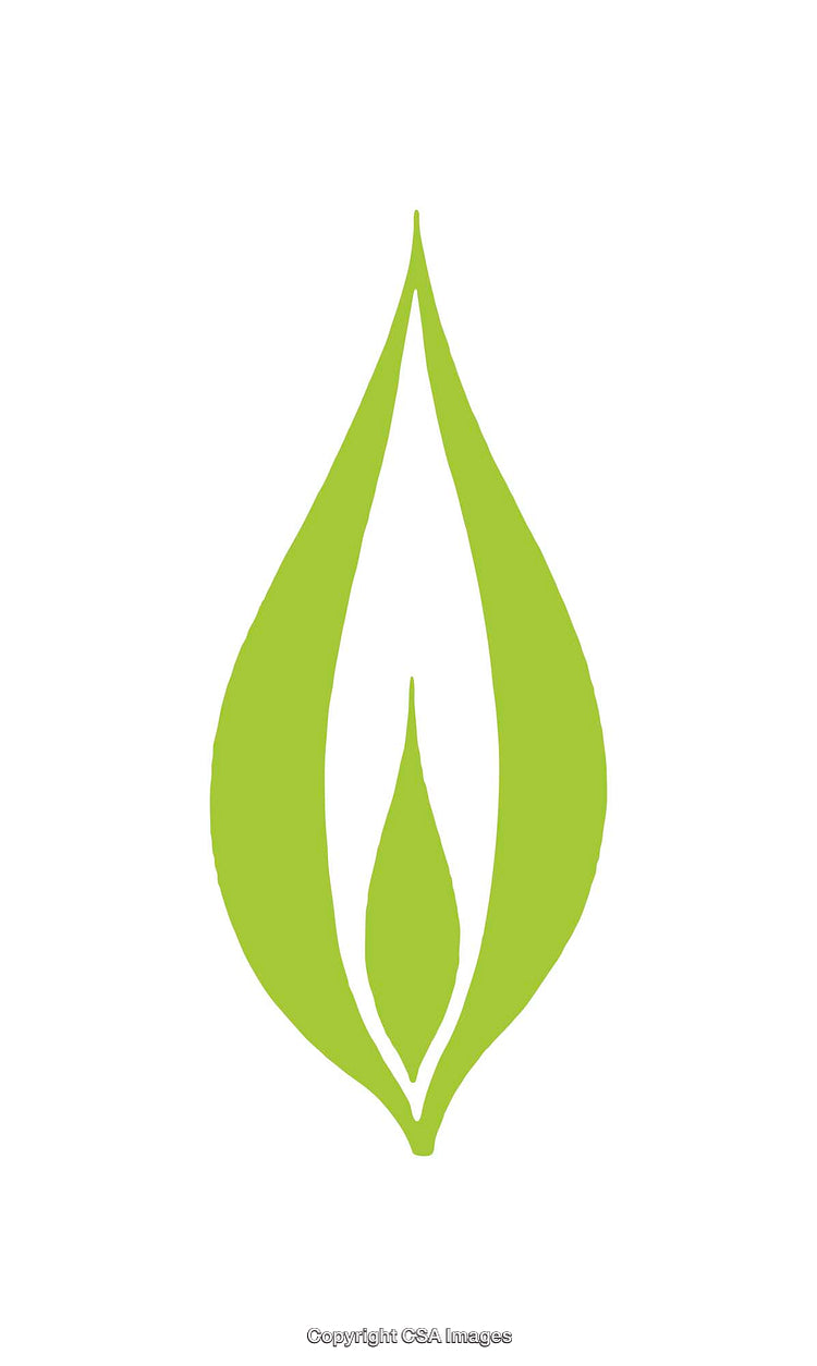 Green Leaf Eco Logo with Minimalistic Style and White Background