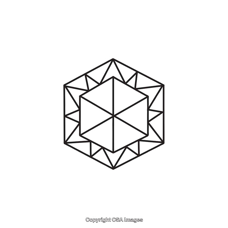Geometric Hexagonal Shape with Linework and Symmetrical Triangles in Black