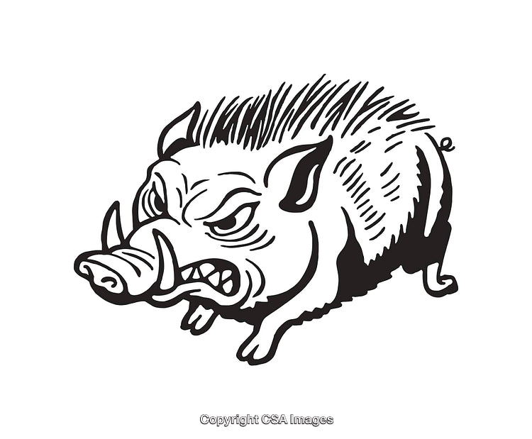 Black and White Line Art Illustration of a Wild Boar