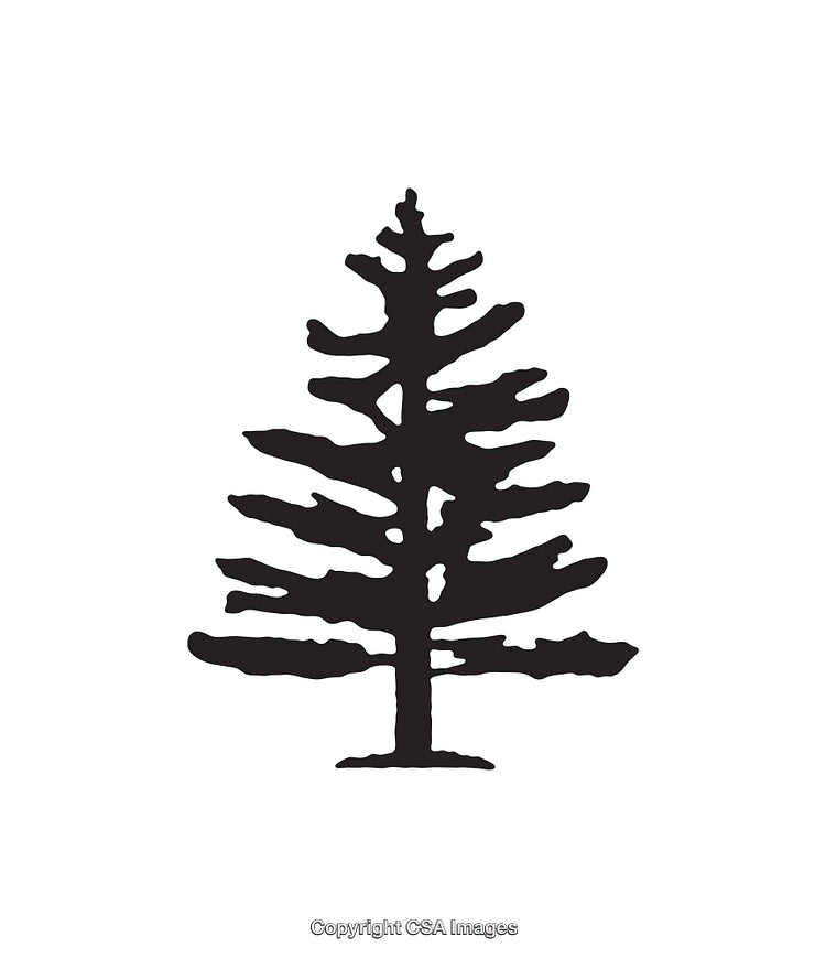 Simple Black and White Icon Depicting a Pine Tree Silhouette