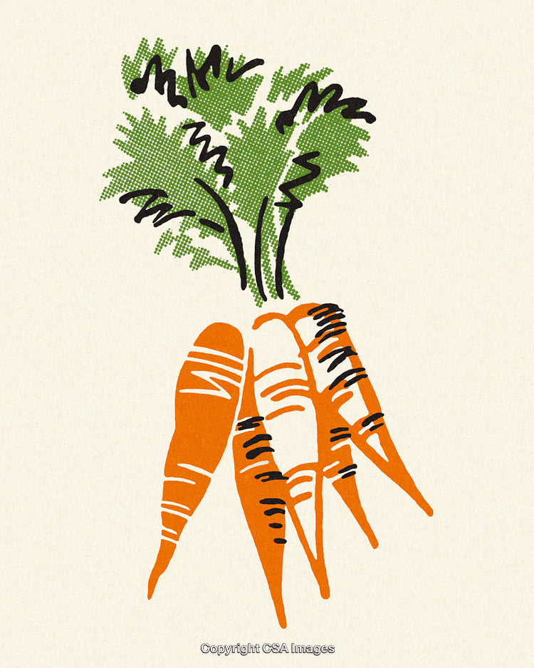 Illustration of Fresh Carrots with Green Tops and Textured Artistic Style