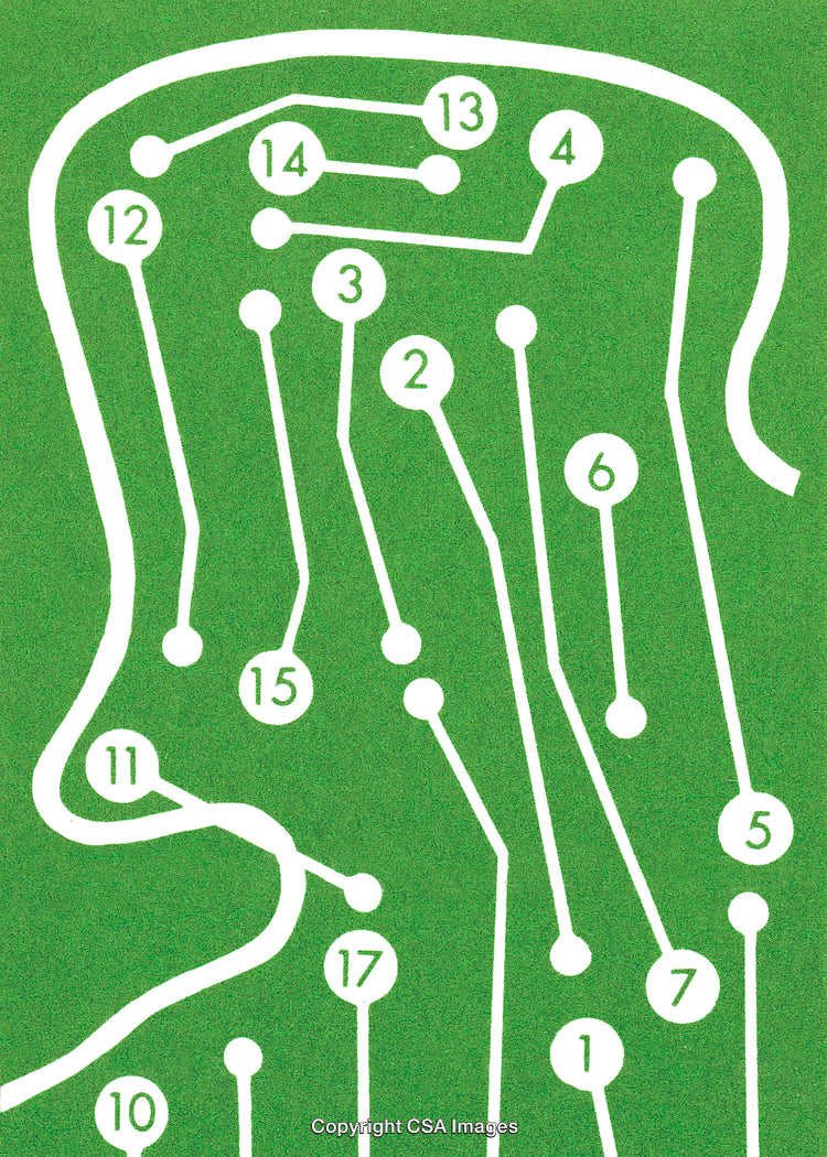 Profile View of a Circuit Board Head with Numbered Connections