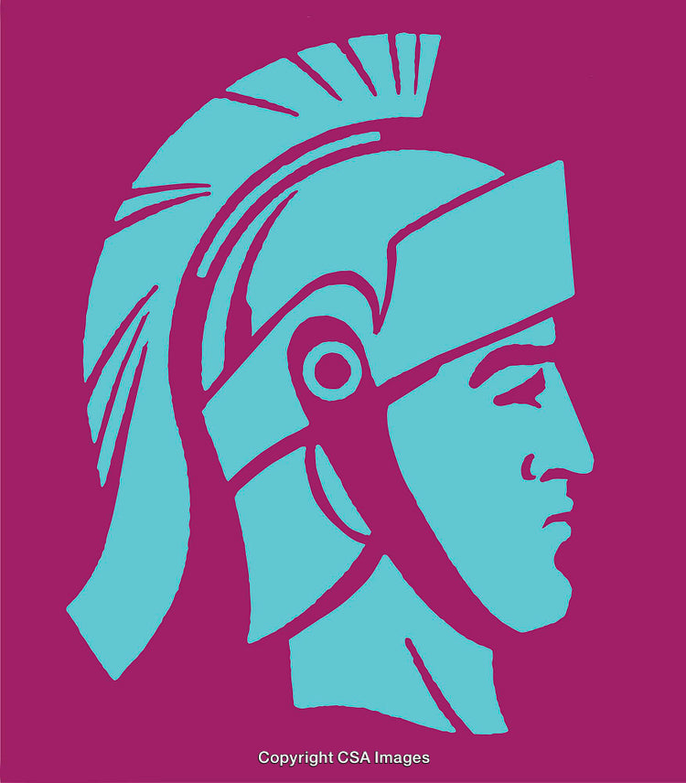 Minimalist Line Art of a Warrior Helmet Design in Bold Colors