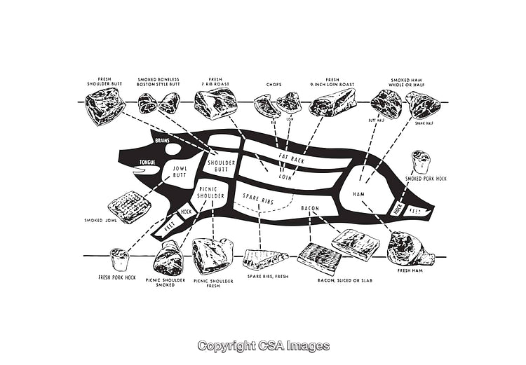 Black and White Diagram of Pork Cuts With Descriptions and Illustrations
