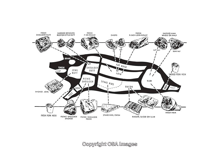 Black and White Diagram of Pork Cuts With Descriptions and Illustrations