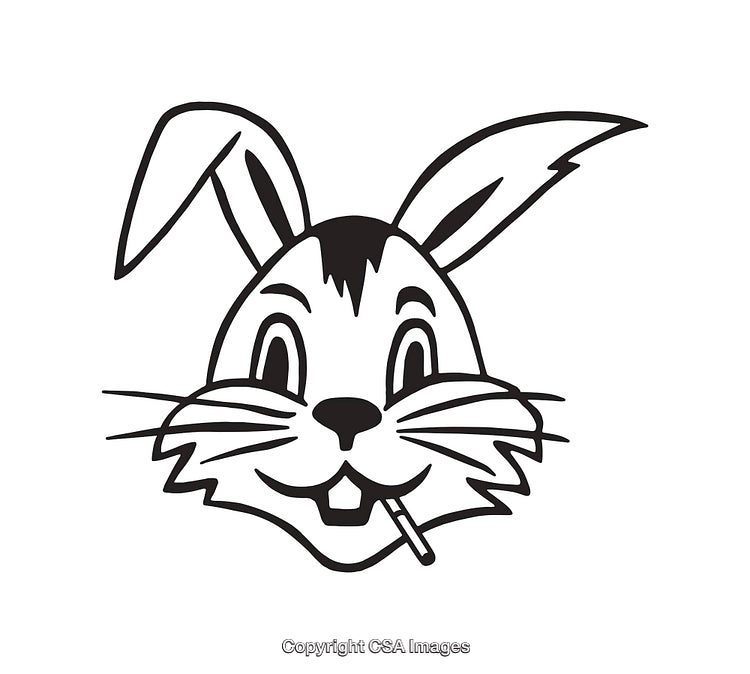 Playful Cartoon Rabbit Face Line Art Illustration in Black and White