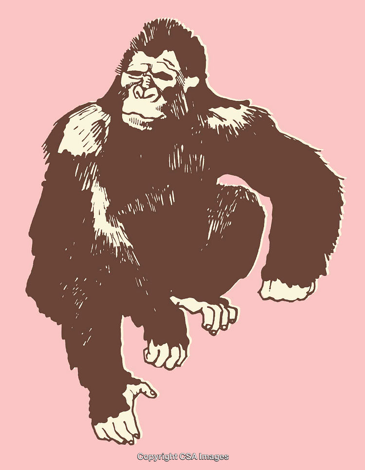 Vintage Style Illustration of a Gorilla Sitting on a Pink Background