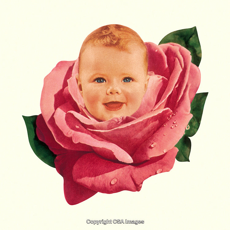 Baby's Face Within a Vibrant Pink Rose Amid Green Foliage