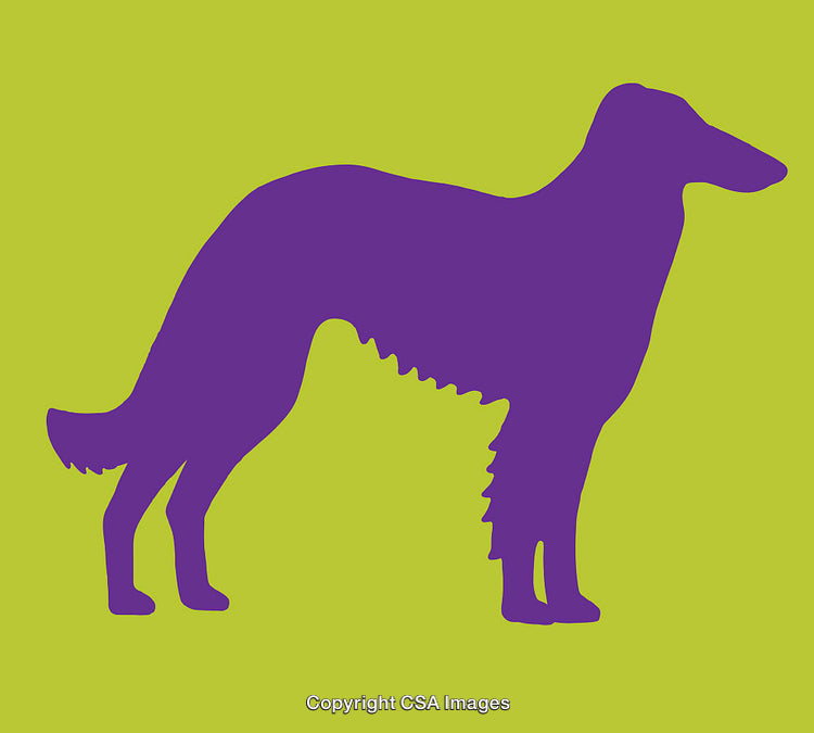 Purple Silhouette of a Graceful Dog on a Vibrant Background