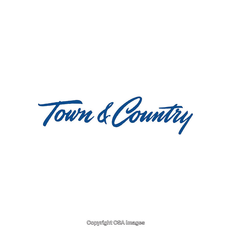 Elegant Blue Handwritten Logo on a White Background