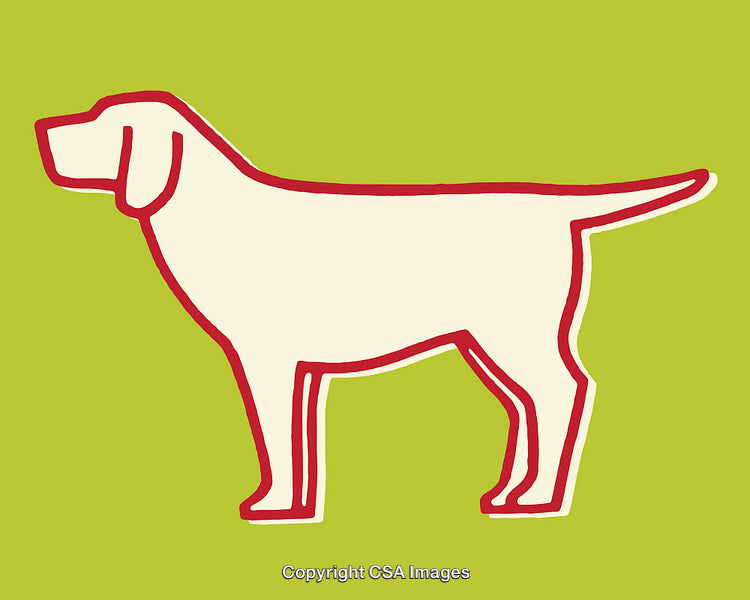 Minimalistic Outline of a Dog in Vibrant Contrasting Colors