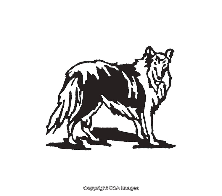 Vintage Black And White Collie Dog Line Art Illustration