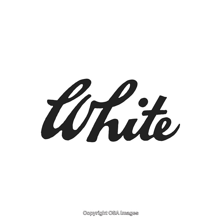 Elegant Black Script Text on Minimal White Background