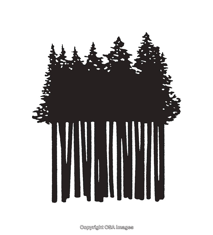 Black and White Forest Themed Silhouette with Pine Trees Artwork