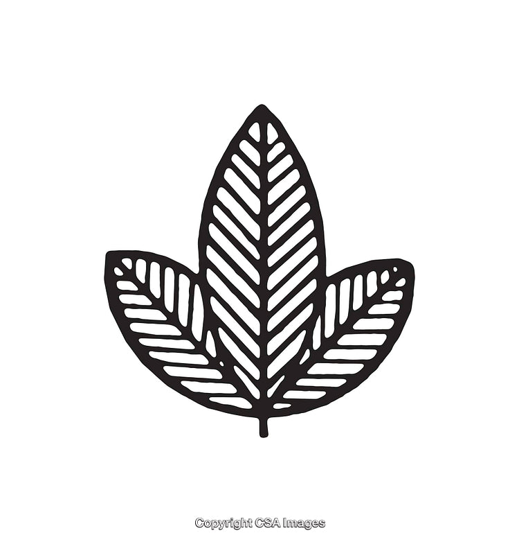 Black and White Line Art Illustration of a Leaf with Symmetrical Design