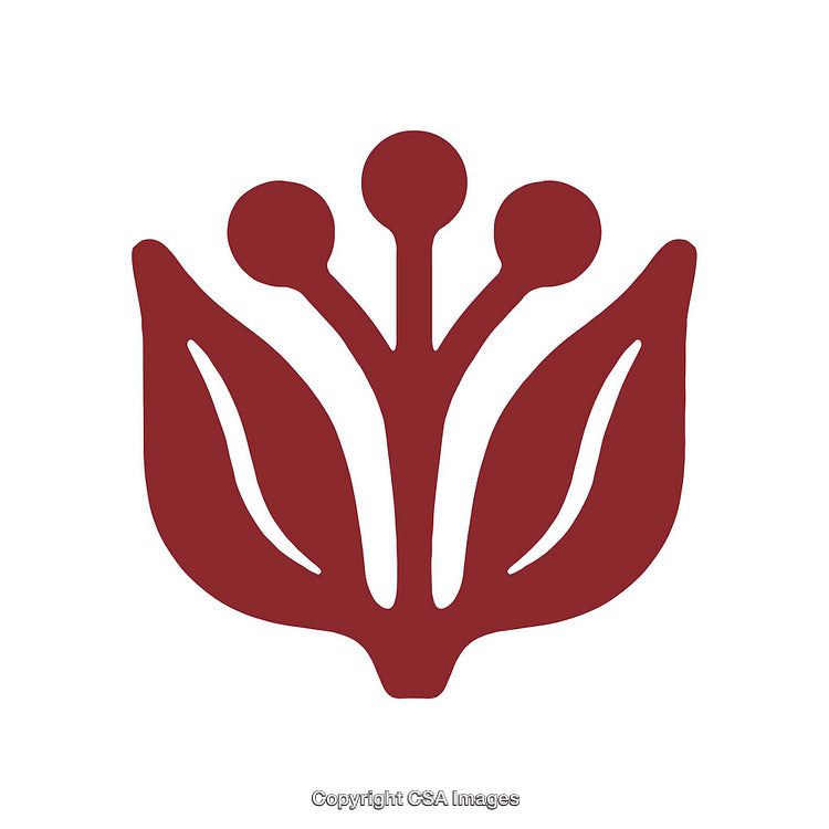 Minimalist Red Abstract Floral Design Isolated on a White Background