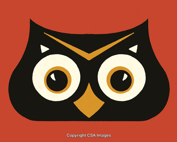 Vintage Style Abstract Illustration of an Owl with Large Eyes