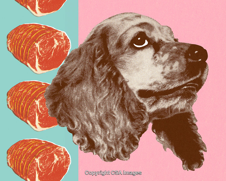 Pop Art Style Dog Portrait with Meat Slices and Bright Colors