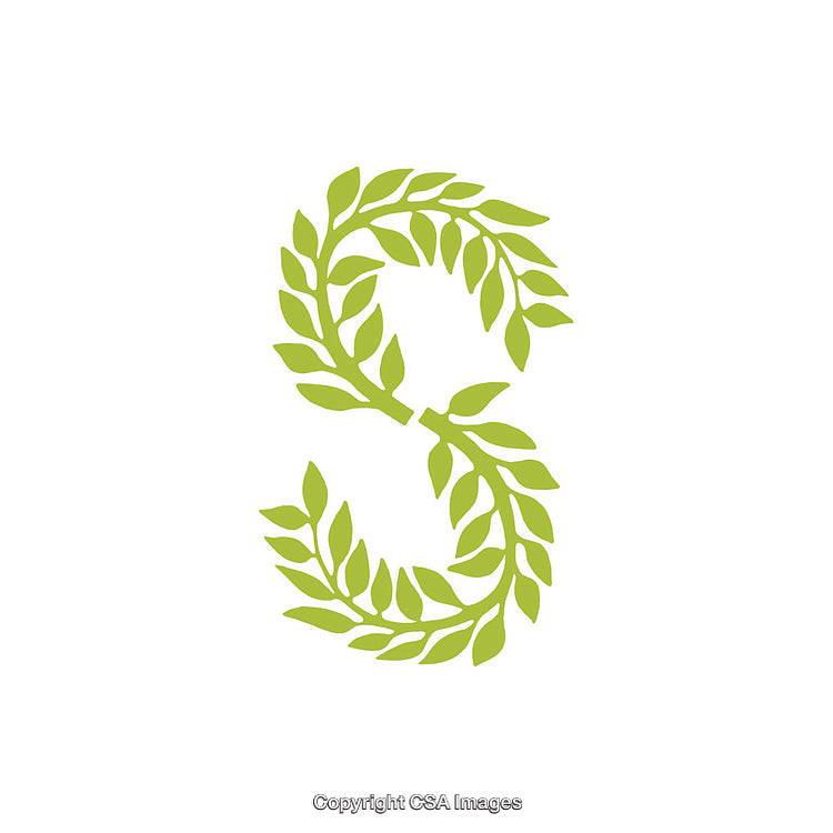 Green Leaf Letter S in Nature-Inspired Design Isolated on White
