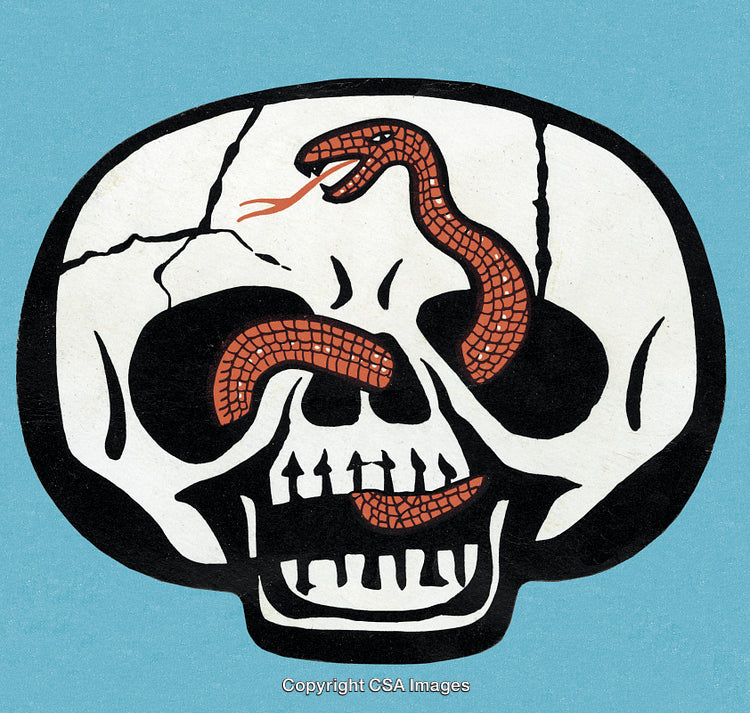 Illustration of Skull with Snake Symbolizing Death and Mystery on Blue Background
