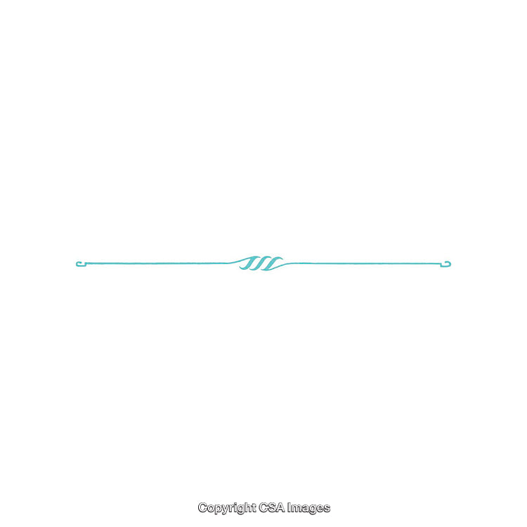 Elegant Minimal Blue Flourish Decorative Divider Design for Invitations