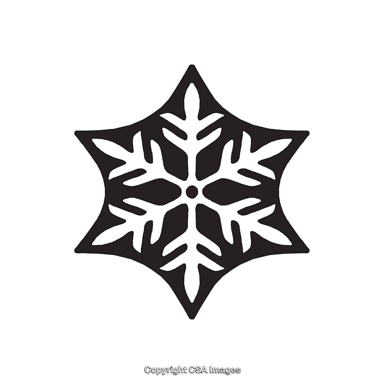 Black and White Snowflake-Shaped Dingbat Icon with Bold Design