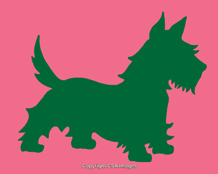 Colorful Silhouette Art of a Dog in a Vibrant Design