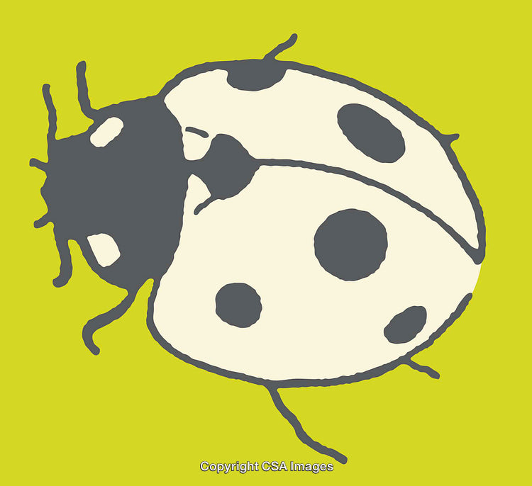 Colorful Line Art Illustration of a Simple Ladybug on Green Background