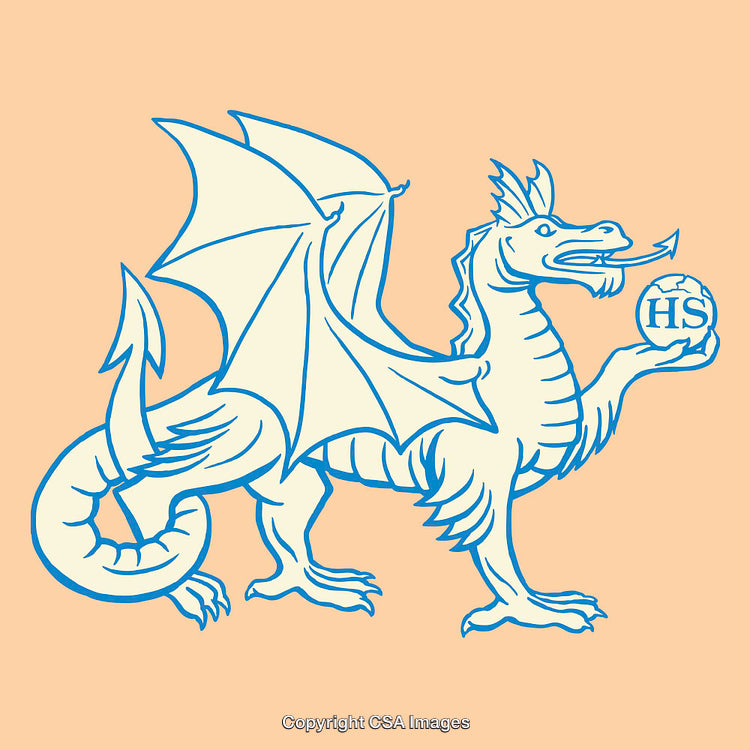Colorful Line Art of Dragon Symbol Holding an Emblem