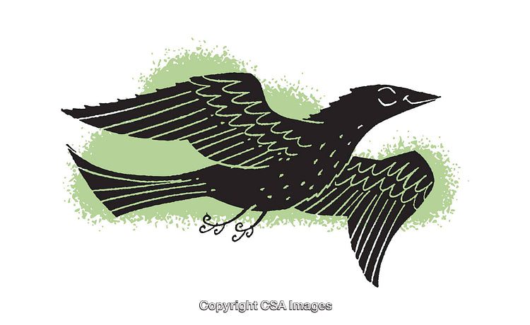 Stylized Bird Illustration with Bold Black Lines and Green Background