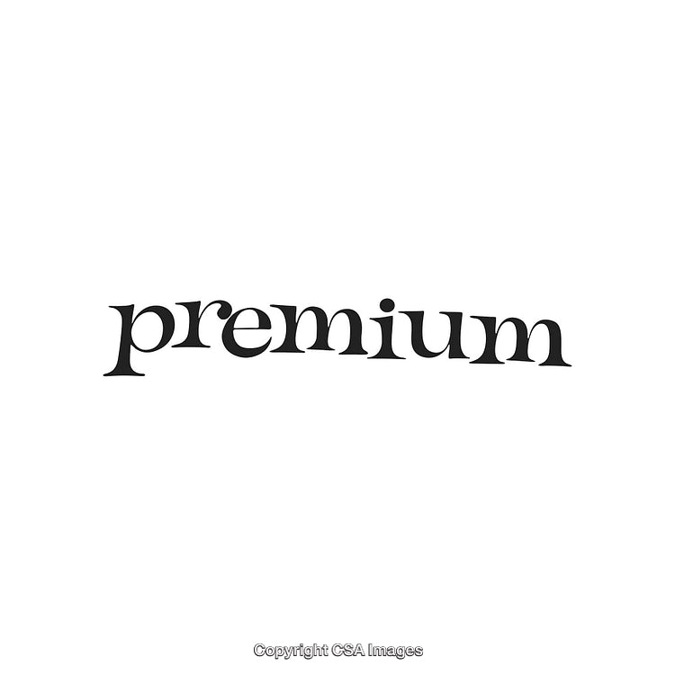 Stylized Black Text Displaying 'Premium' on a Minimal White Background