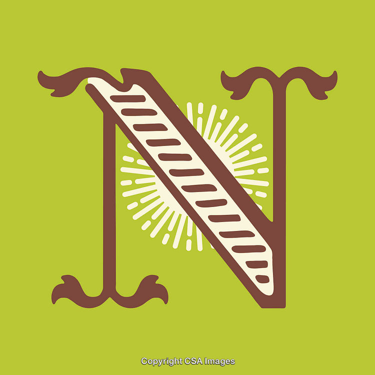 Artistic Letter N Design with Decorative Vintage Style on Vibrant Green Background