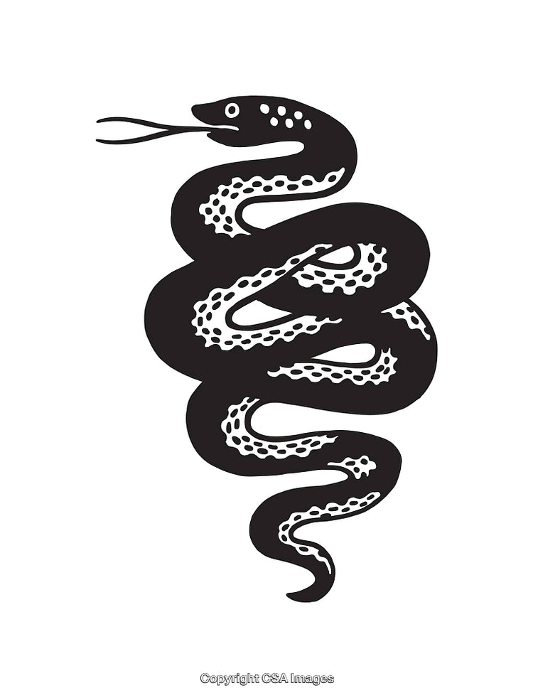 Elegant Black and White Line Art Illustration of a Coiled Snake