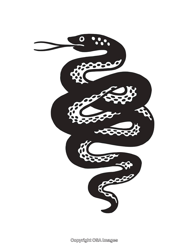 Elegant Black and White Line Art Illustration of a Coiled Snake
