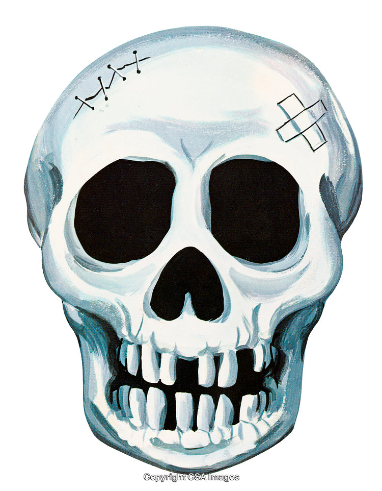 Detailed Skull Illustration with Stitch Details and Engaging Expressions