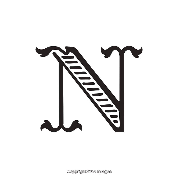 Ornate Letter 'N' Design with Decorative and Artistic Elements