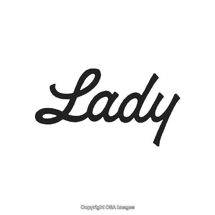 Elegant Black Handwritten Style Text 'Lady' on White Background