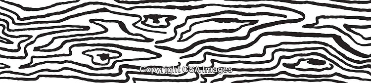 Black And White Abstract Line Pattern Illustrating Organic Flow